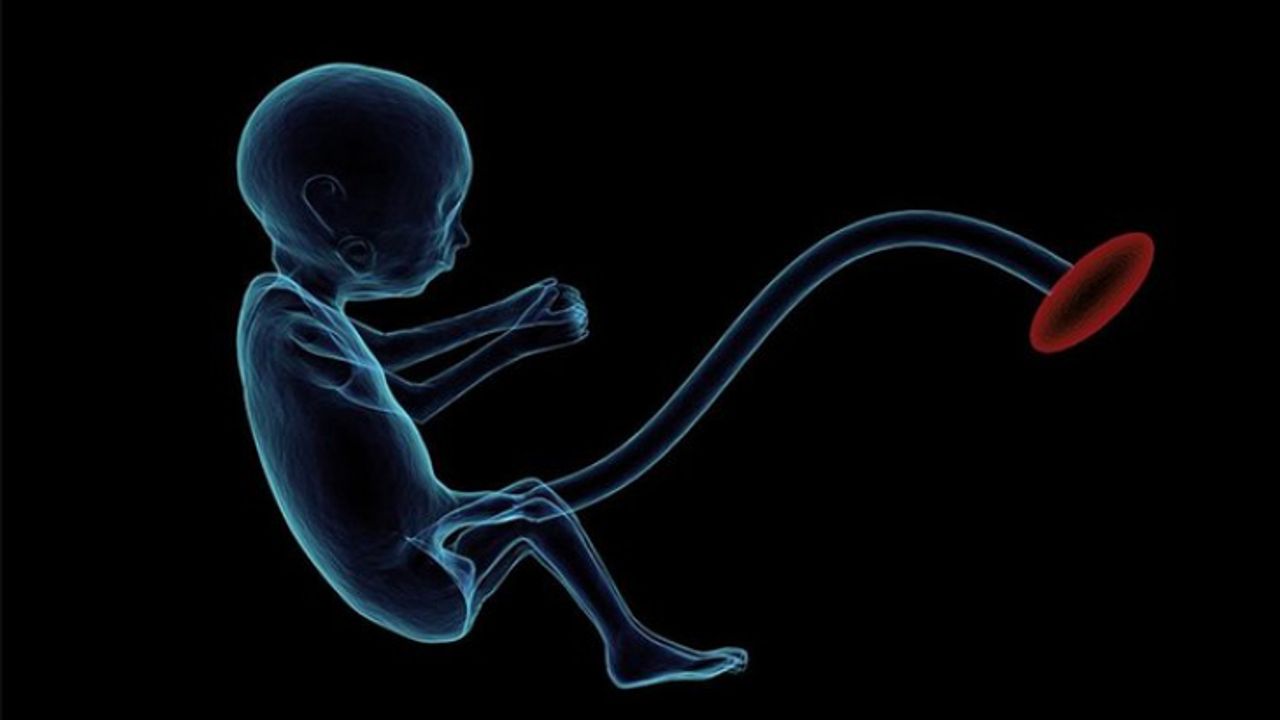 Çin'de 1 yaşındaki bebeğin beyninden doğmamış ikizi çıkarıldı