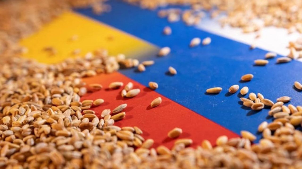 Rusya'dan kritik 'tahıl koridoru' kararı