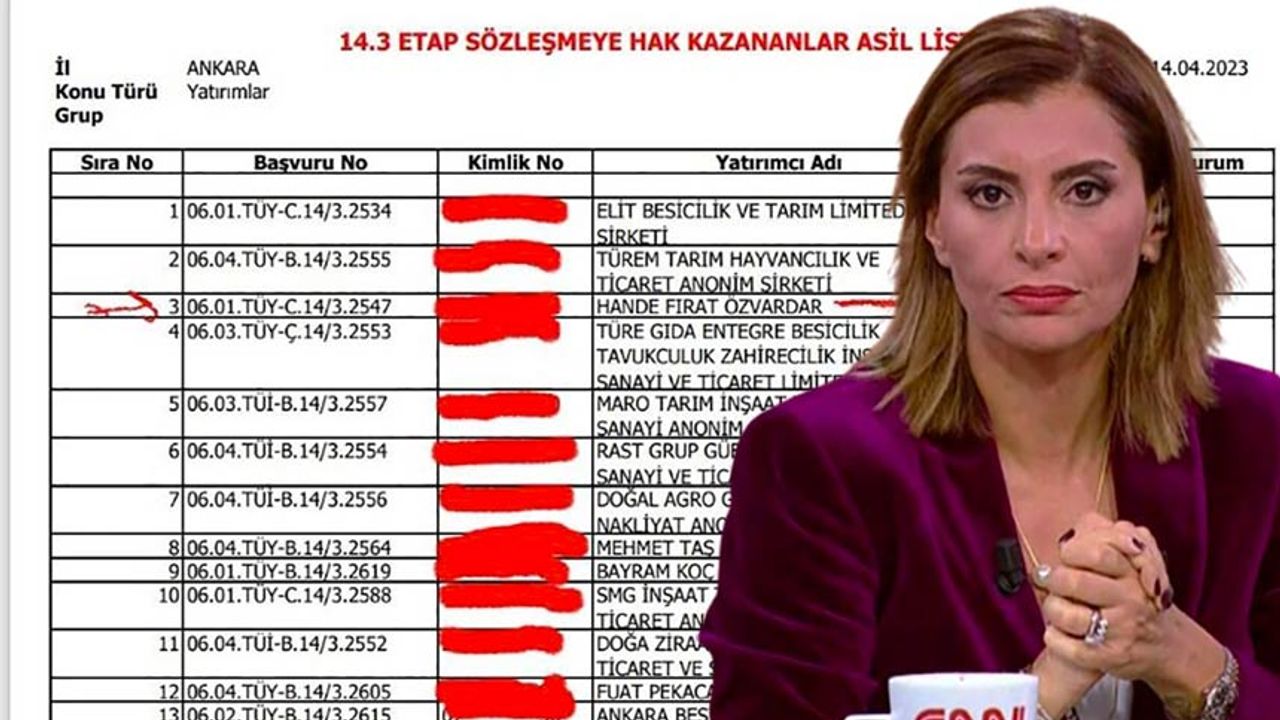Gazeteci Hande Fırat devletten 3.5 milyon lira hibe alacak!
