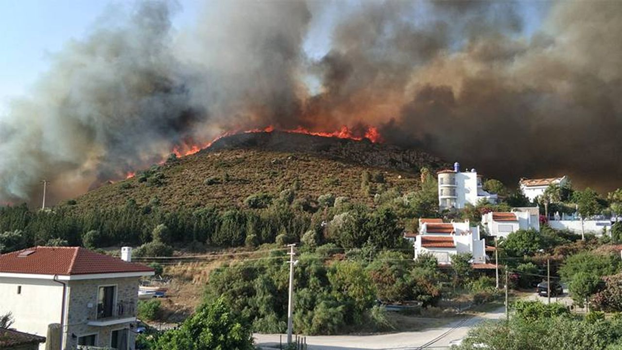 Datça'da ormanlık alanda korkutan yangın