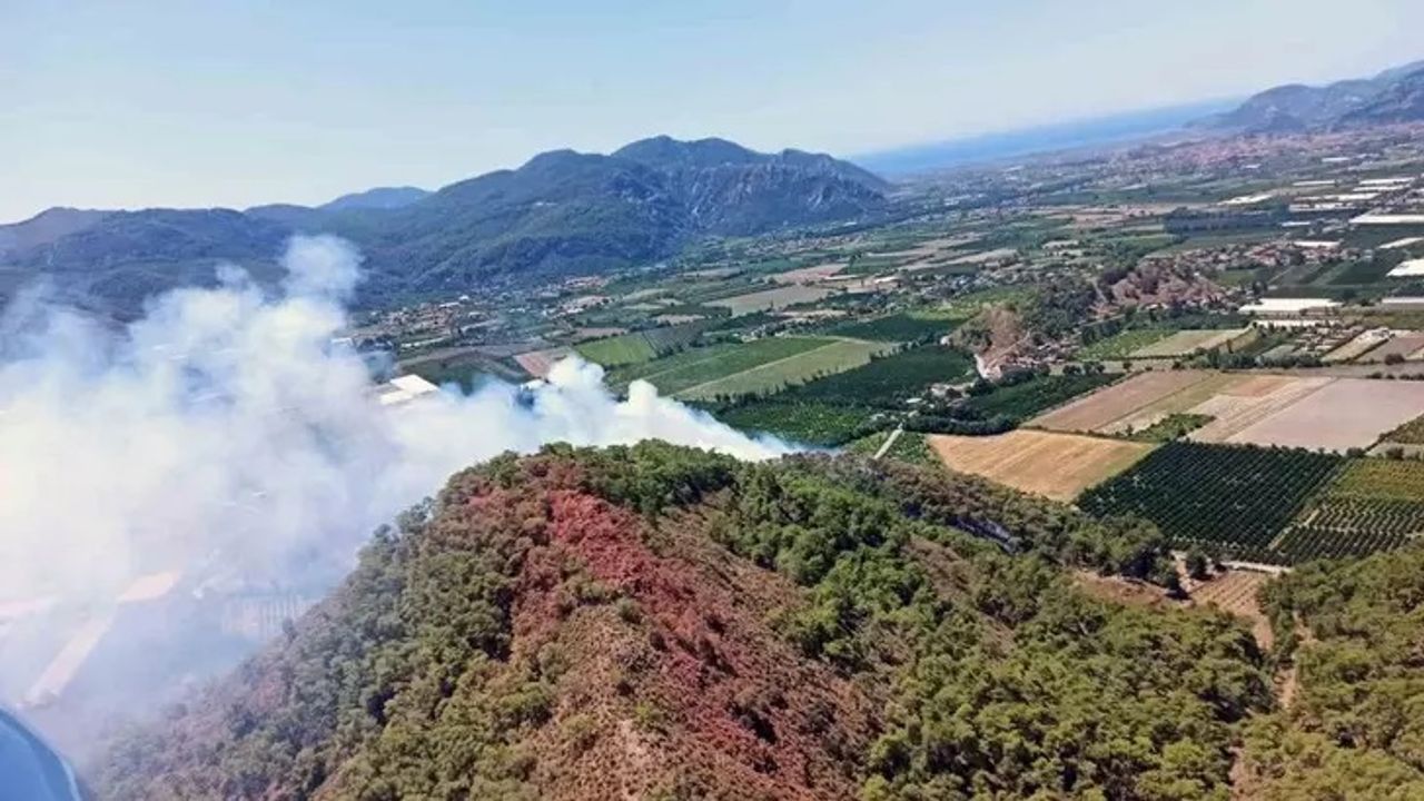 Muğla'da korkutan orman yangını! Ekipler müdahale ediyor