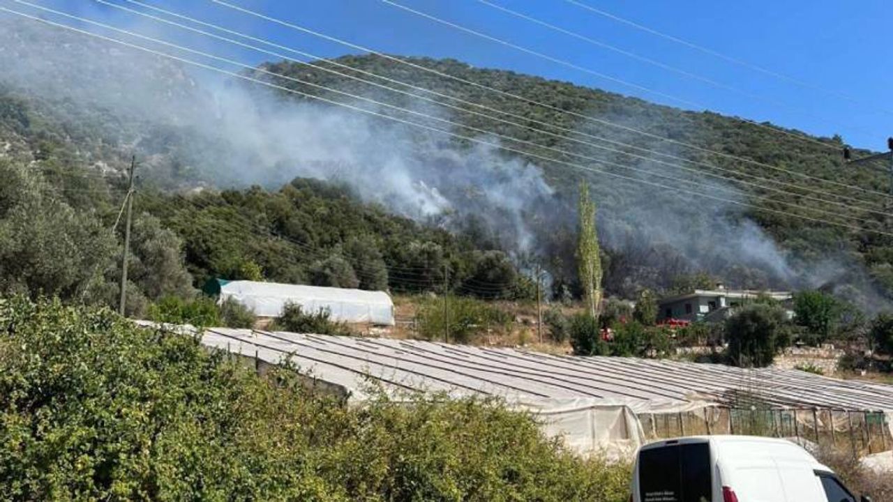Antalya Kaş'ta korkutan yangın! Ev ve seralara yakın yerde...