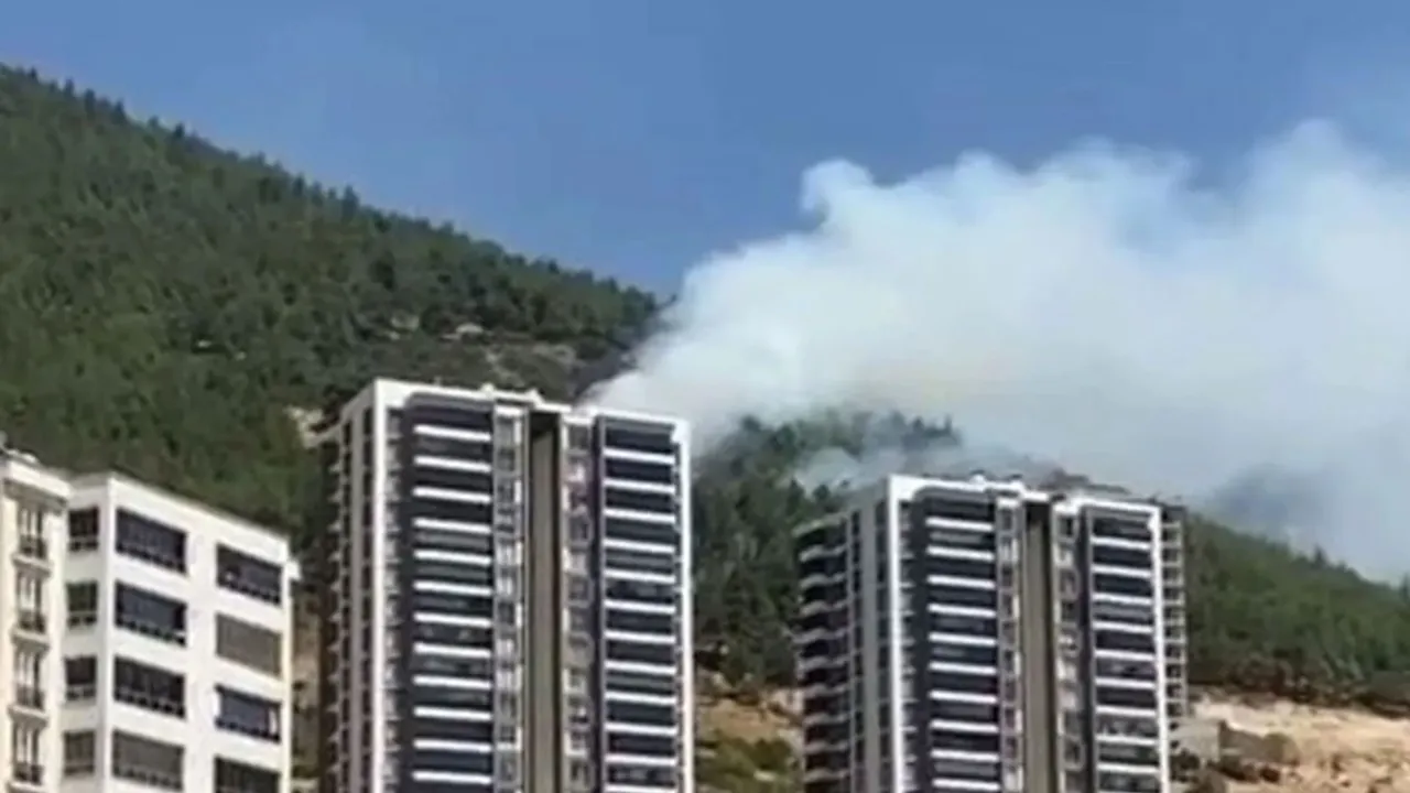 Kahramanmaraş'ta korkutan orman yangını! Bir kişi gözaltına alındı