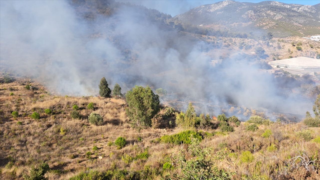 Mersin'in Bozyazı ilçesinde orman yangını çıktı!