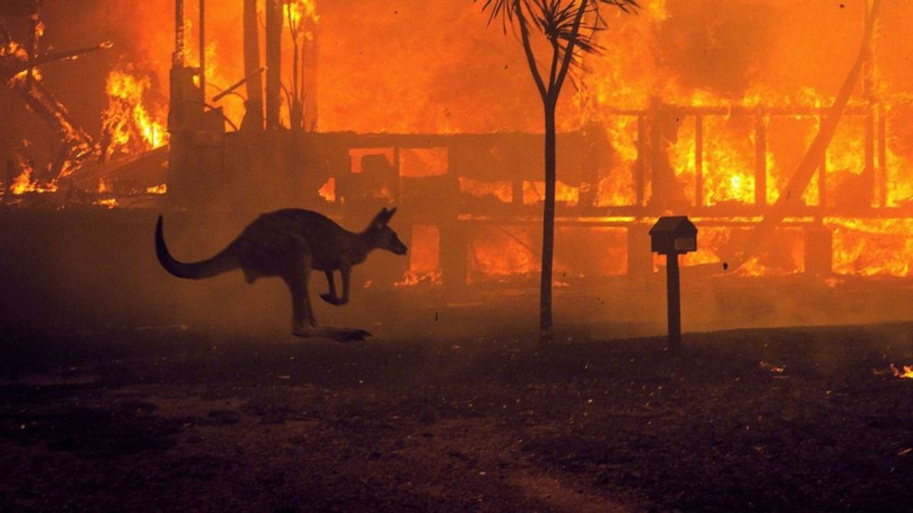 Avusturalya'da yangın tehlikesi sebebiyle okullar kapatıldı