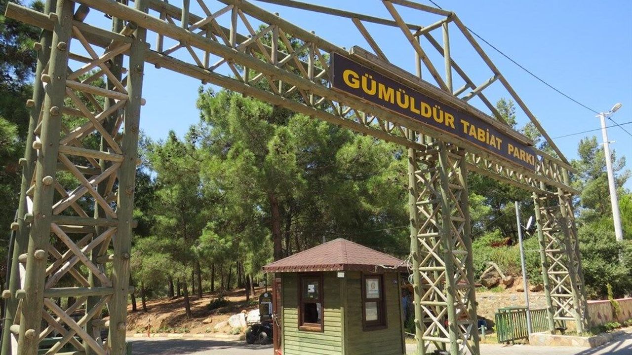 Gümüldür Tabiat Parkı 3 yıl aradan sonra kapılarını yeniden açtı