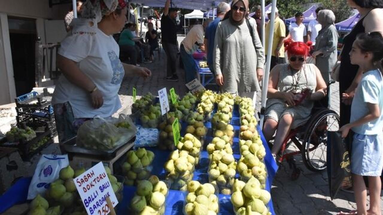 İzmir’den Avrupa’ya uzanıyor: Bardacık incirinde hasat bereketi