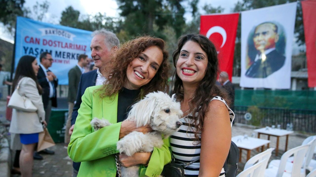 Karşıyaka Belediyesi Bakımevinde 282 Köpek Sahiplendirme Bekliyor