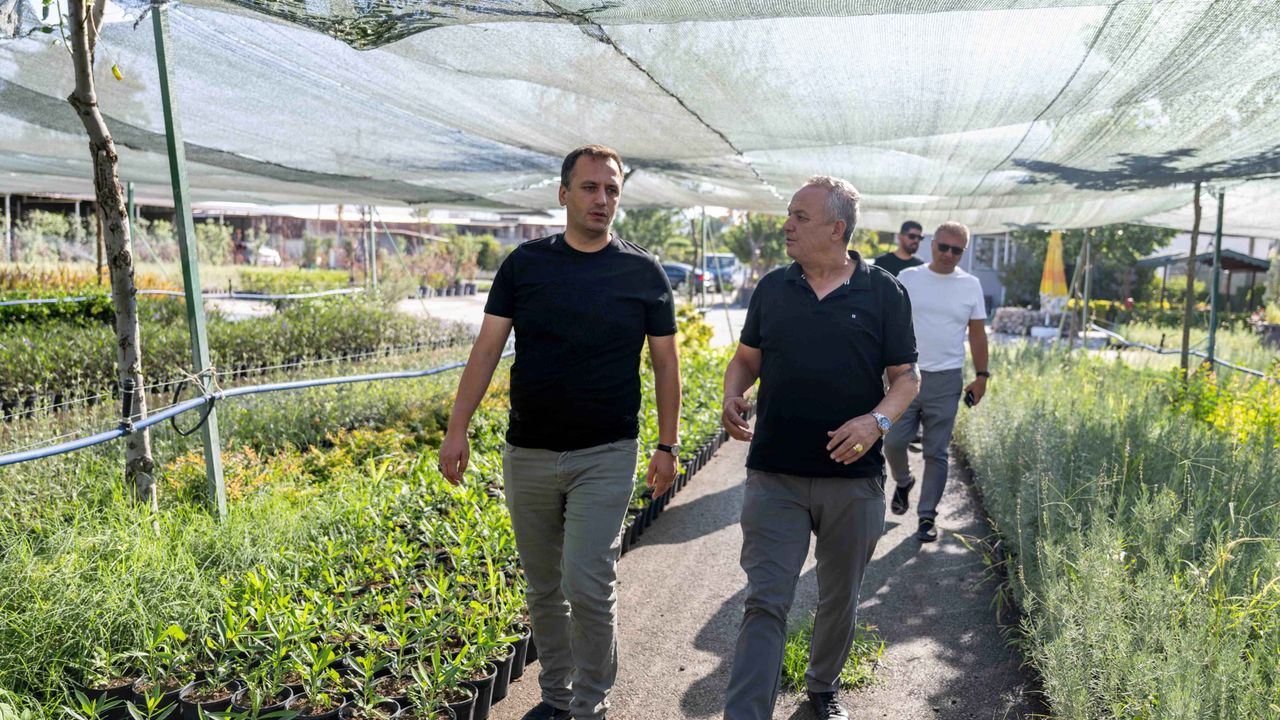 İzmir’in ilk lavanta parkı olacak... Bornova’ya 7 dönümlük cennet bahçesi