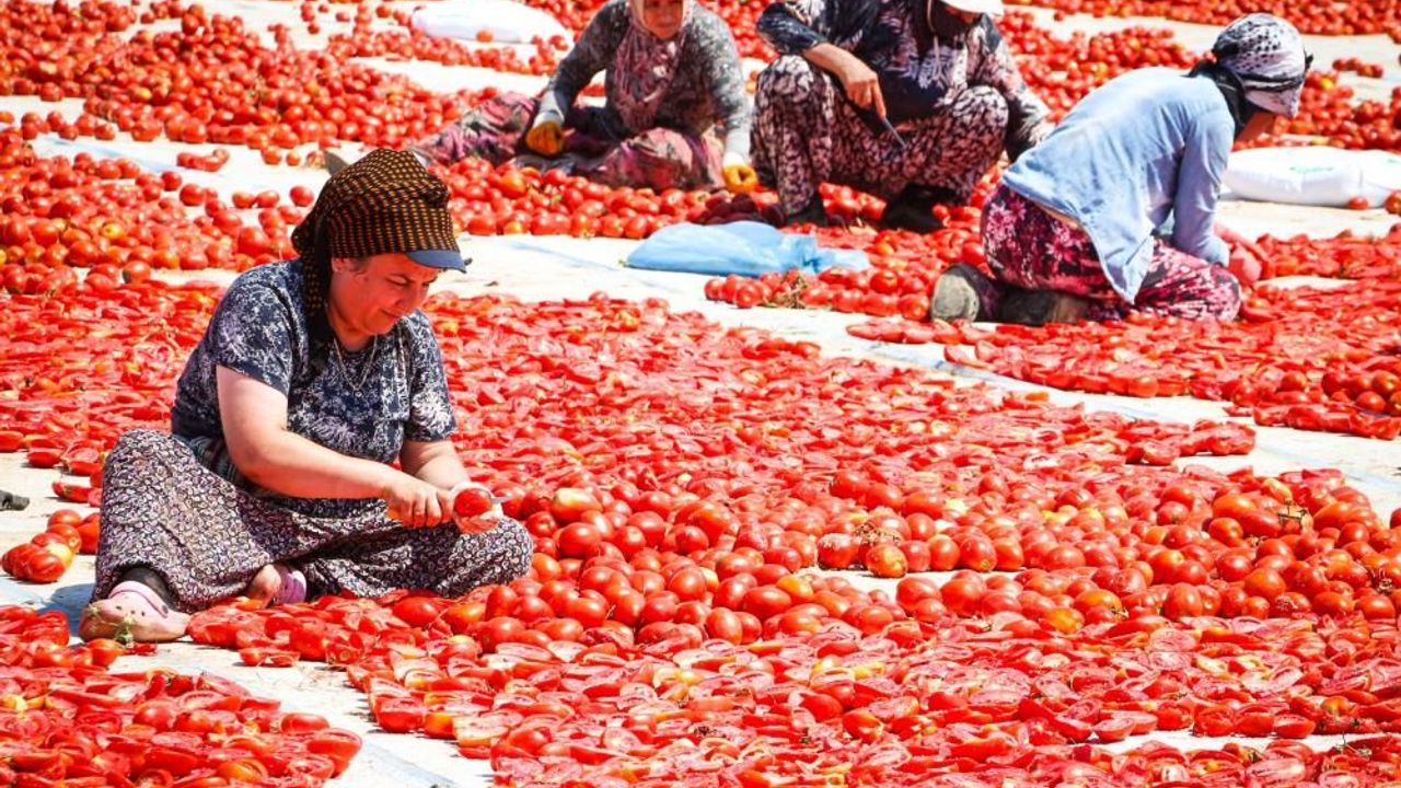 Torbalı'nın kırmızı altını 90'dan fazla ülkeye ihraç ediliyor