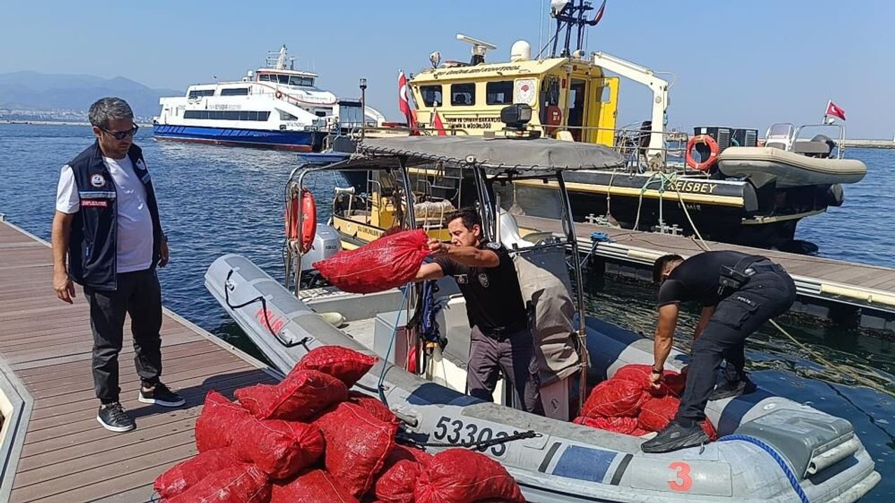 İzmir İnciraltı'nda Yasa Dışı Avlanan 560 Kilogram Midye Doğaya İade Edildi