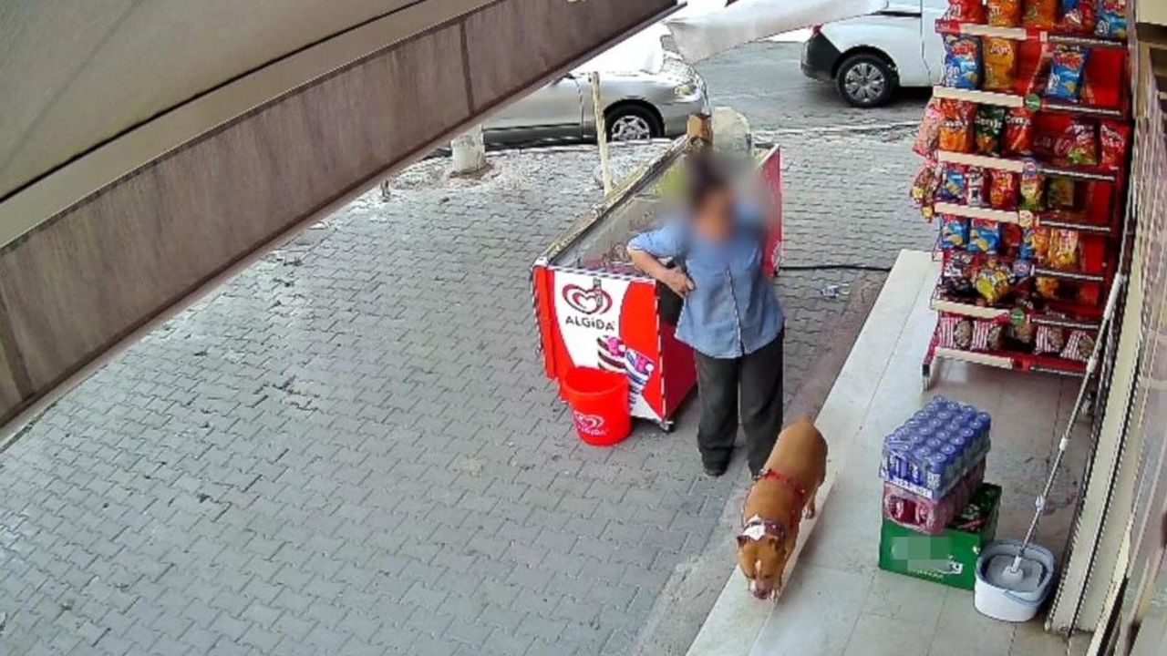 İzmir'de pitbull saldırısı: 5 çocuk annesi kadının parmağı koptu