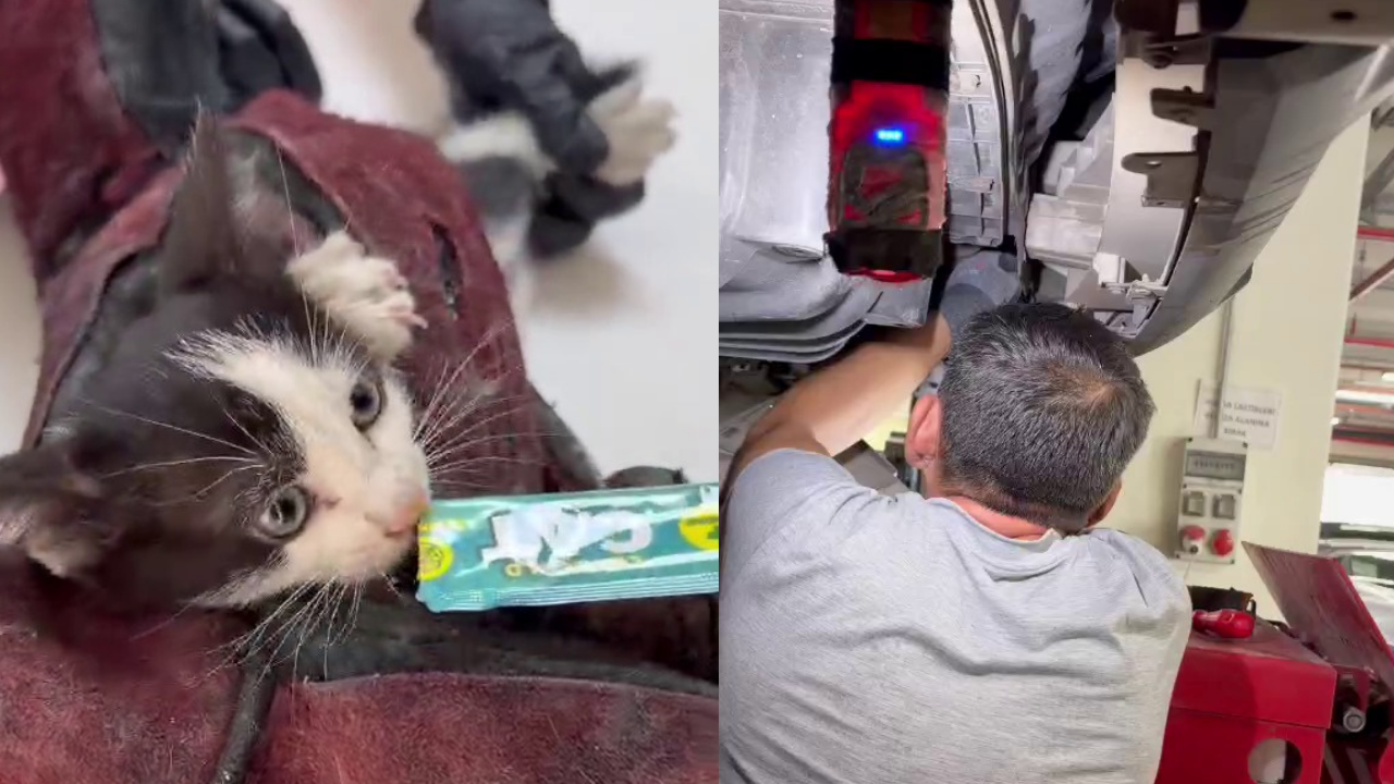 İzmir'de Otomobil Motoruna Giren Yavru Kedi Kurtarıldı