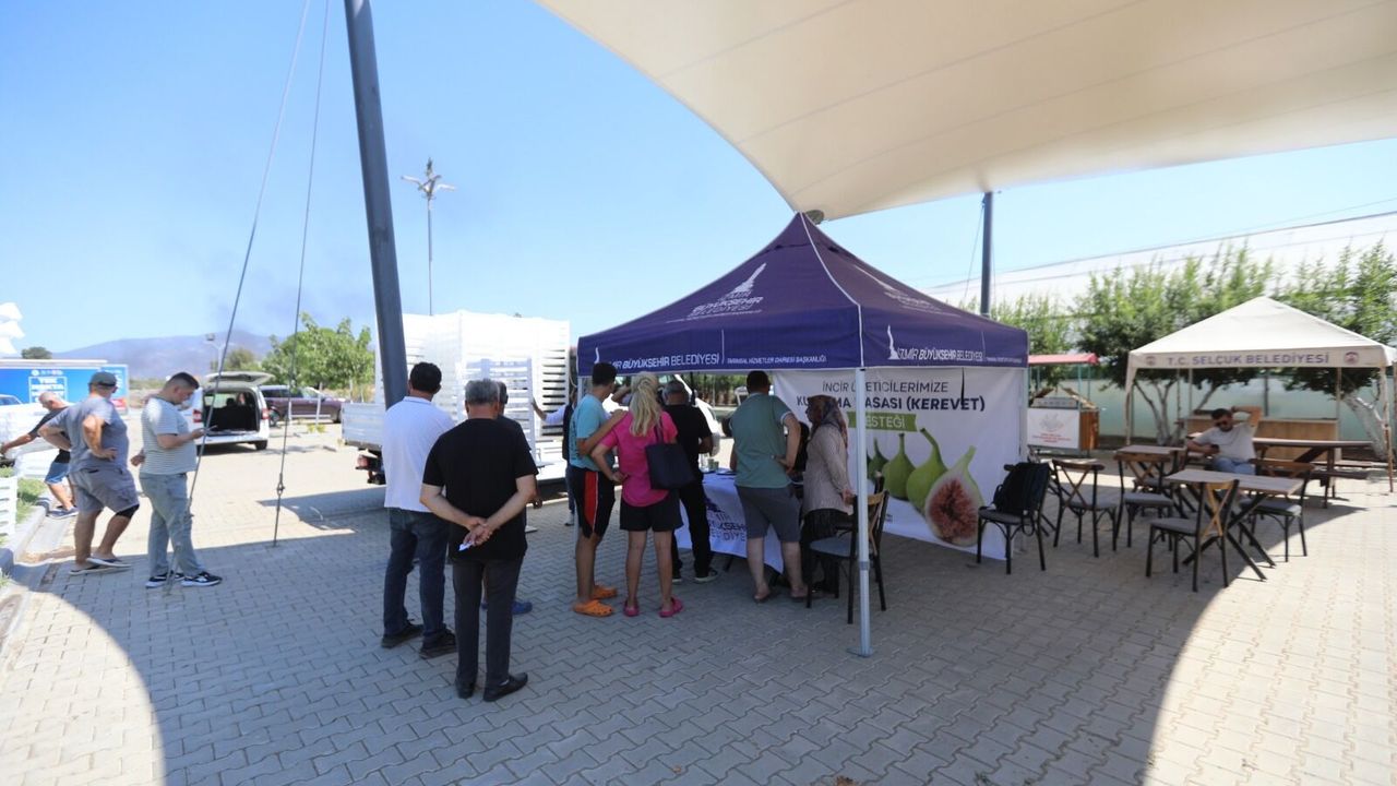 Efes Selçuk’ta incir üreticisine kurutma kasası desteği