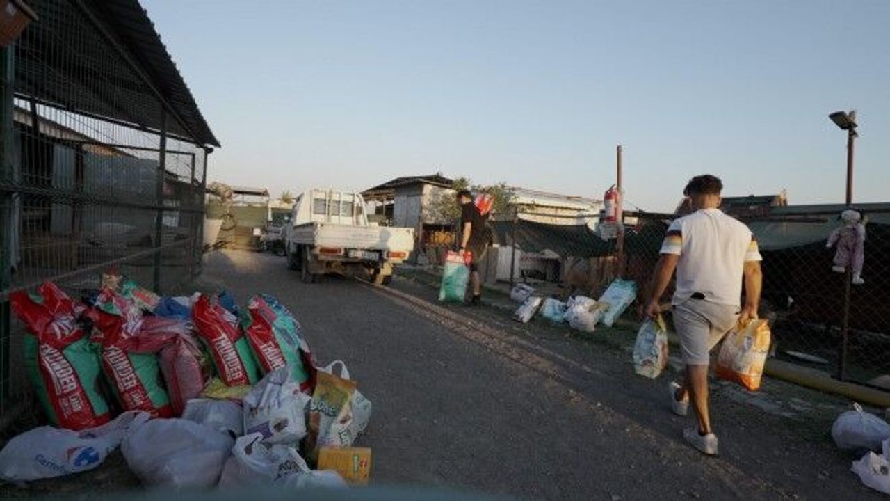 İzmir’de örnek dayanışma: Müzikseverler konsere mama ile girdi