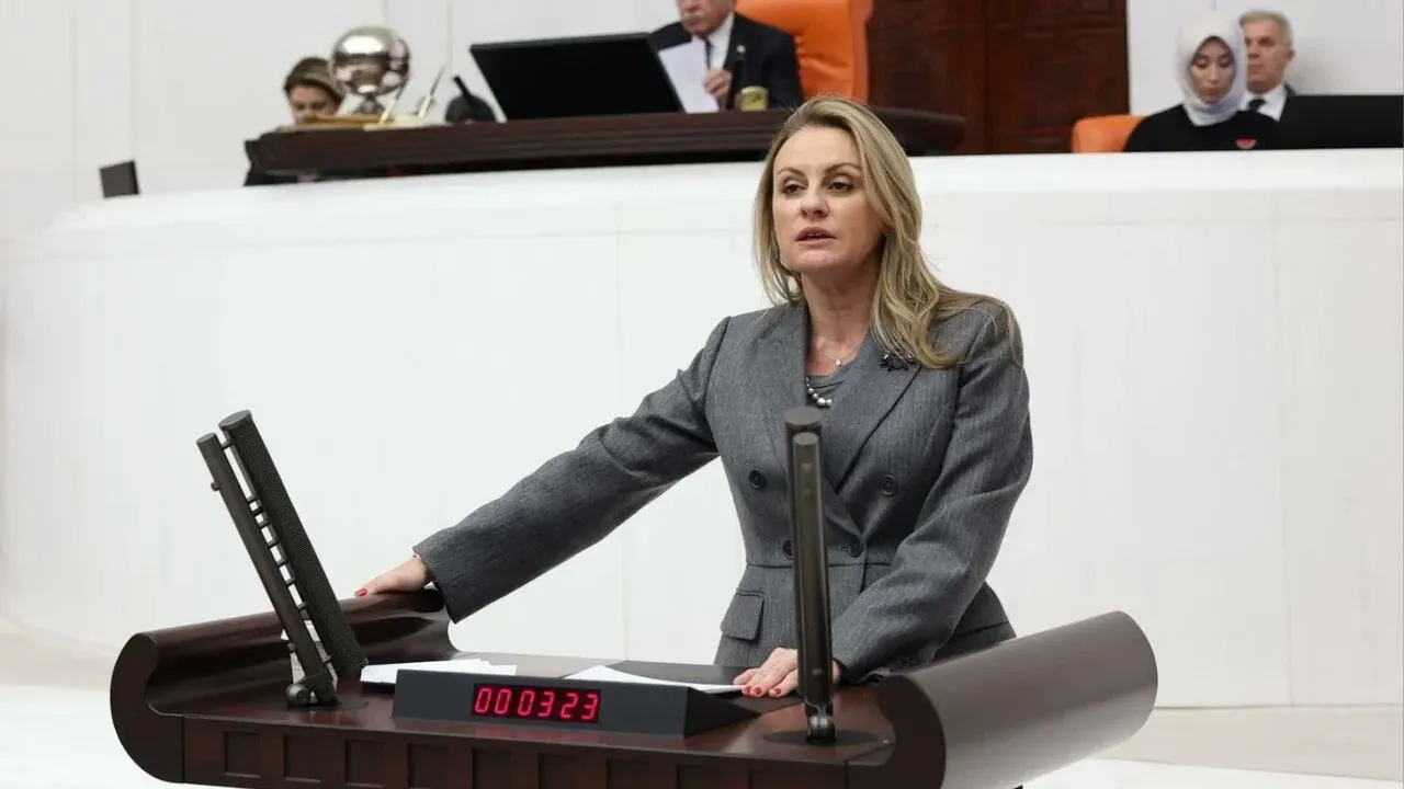 İzmirli vekilden Çeşme Projesi mesajı: Mesele daha fazla yatak değil