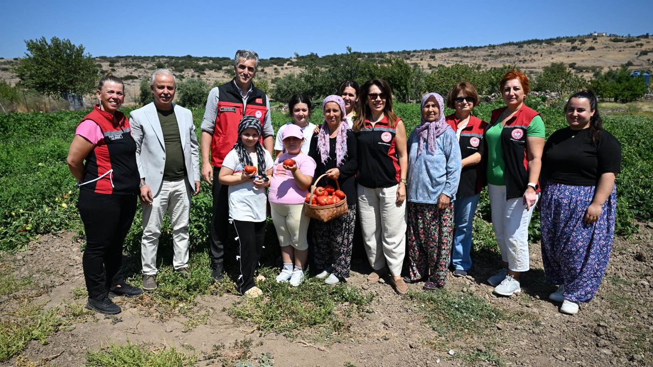 Yamanlar Tomato Farmers Meet at Farm Day