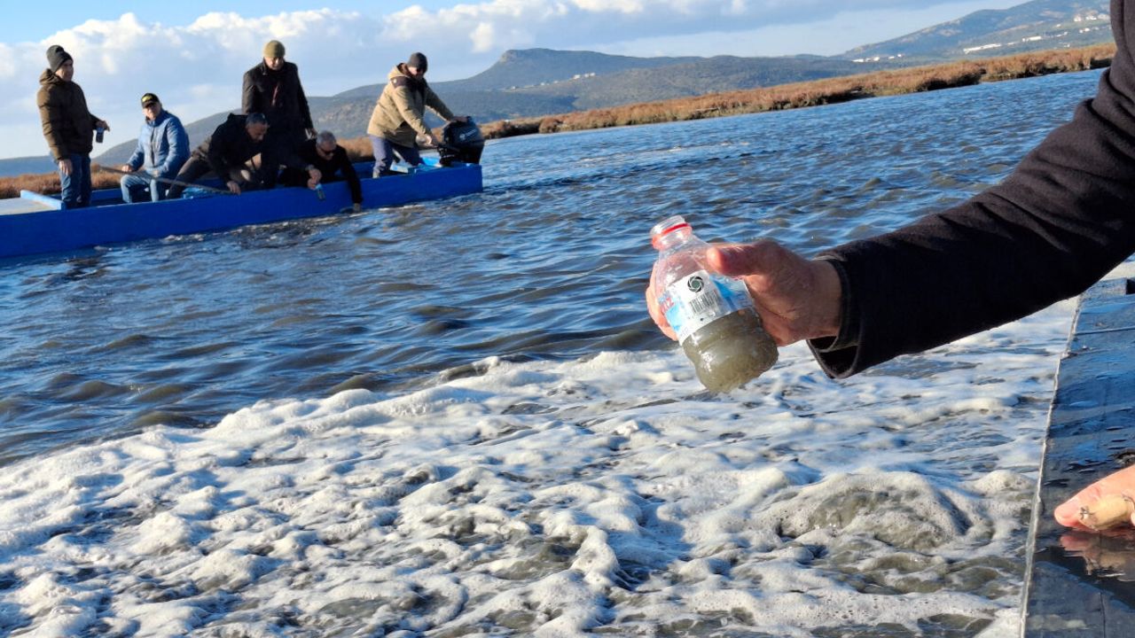 İzmir Körfezi’nde dikkat çeken görüntüler: Alg patlaması riski yeniden gündemde