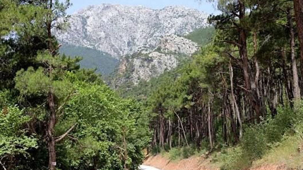 İzmir Karşıyaka Kamp Yerleri: Doğayla İç İçe Kamp Yapabileceğiniz En Güzel Alanlar
