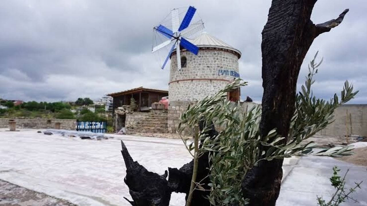İzmir Seferihisar Müzeleri: Tarih ve Kültürle İç İçe Bir Gezi