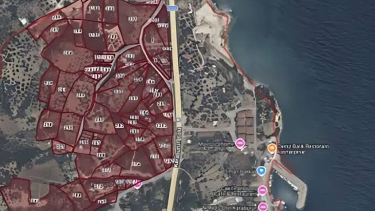 Karaburun'da parselasyon planı tartışması: Zeytinlikler risk altında