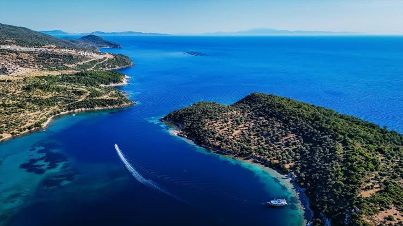 Garip Adası ve Çevresindeki Koylar: Dikili’nin Berrak Denizi ve Doğal Güzellikleri