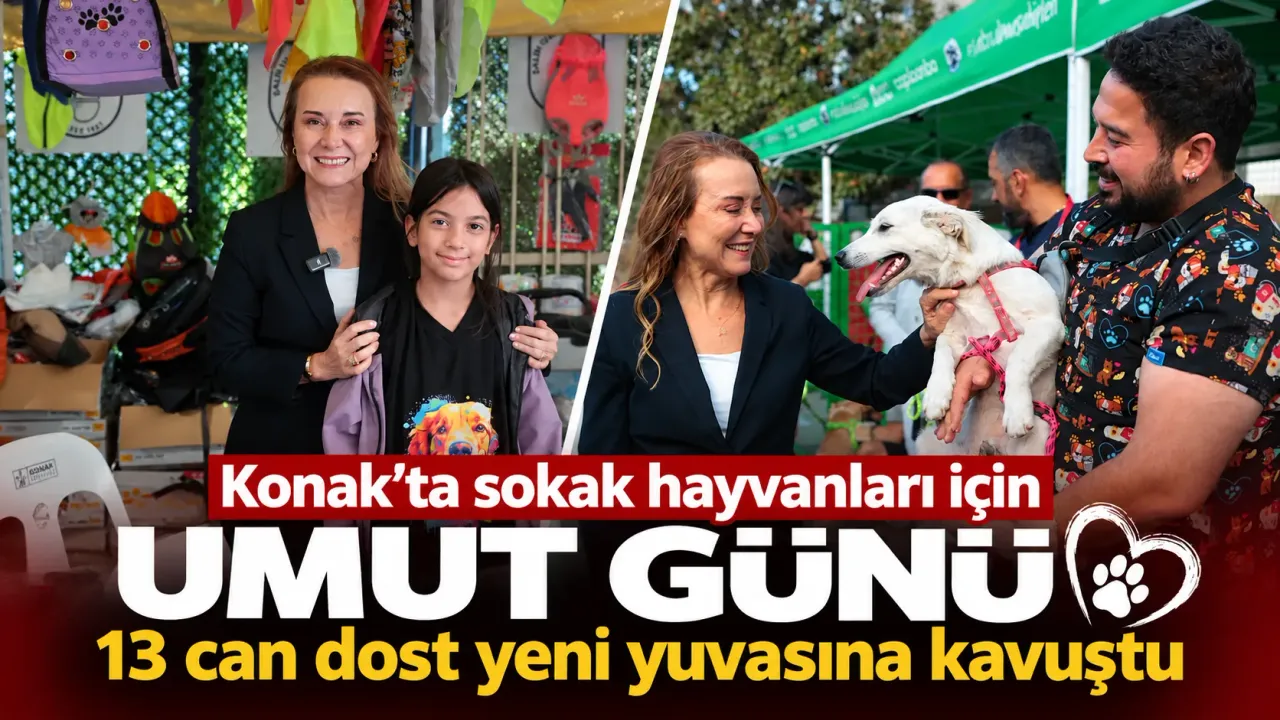 Konak’ta sokak hayvanları için umut günü: 13 can dost yeni yuvasına kavuştu