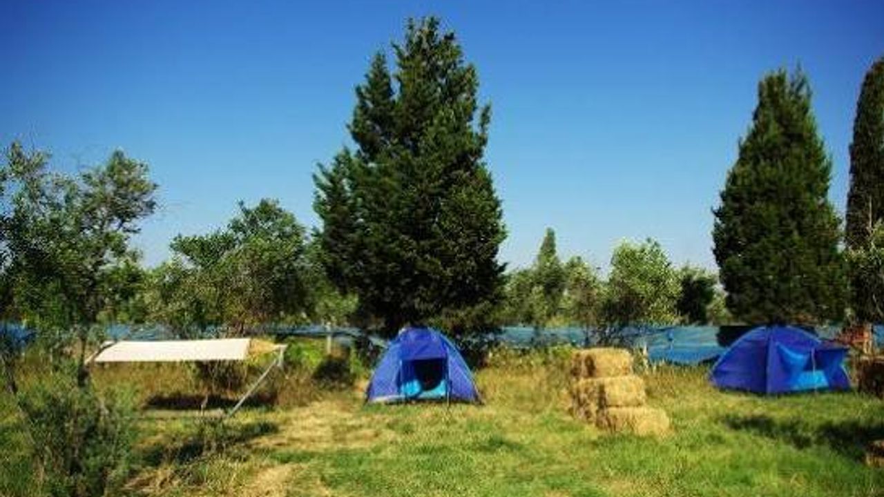 Seferihisar'daki Teos Orman İçi Dinlenme Yeri, doğa ve tarih severler için ideal bir mola noktası.