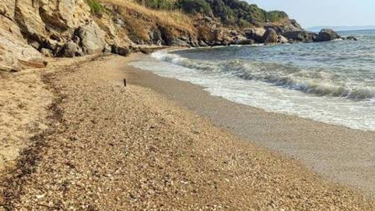 Sazlık Plajı, İzmir Menderes'te doğayla iç içe sahil keyfi