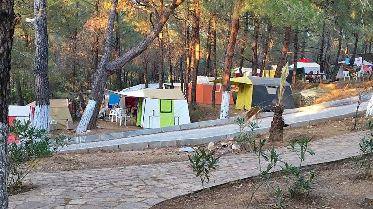 Kalemlik Orman Kampı Nerede? Menderes’in Doğayla İç İçe Koyunda Deniz ve Kamp Keyfi