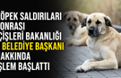 Köpek saldırıları sonrası üç belediye başkanı için işlem başlatıldı