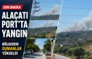 İzmir'de orman yangını: Alaçatı'da ekiplerin havadan karadan müdahalesi başladı