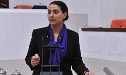 HDP'li Feleknas Uca'dan Hakkari'de skandal sözler! Öcalan vaadi tepki çekti...