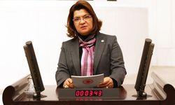 Suzan Şahin: Makamla falan işim yok benim!