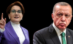 Meral Akşener'den Erdoğan'ın o sözlerine tepki! Hayvan mıyız biz bitki miyiz?