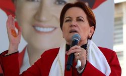 Meral Akşener'den o pankarta çok sert tepki! Her birinizi bir ana doğurdu ahlaksızlıktır bu