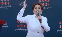 Akşener'den Erzurum açıklaması: Seçimi kaybettiklerini gördüler...