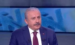 Mustafa Şentop'tan Kılıçdaroğlu'na Erdoğan çağrısı