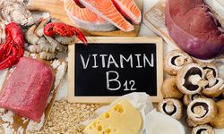 B12 seviyesi ne olmalı, nasıl yükseltilir? B12 yükselten besinler hangileri?