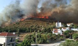 Datça'da ormanlık alanda korkutan yangın