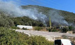 Antalya Kaş'ta korkutan yangın! Ev ve seralara yakın yerde...