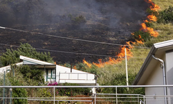 Akdeniz ülkelerinde son durum: Yangınlarda 40 kişi can verdi