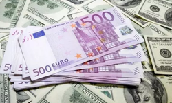 Dolar Euro bugün ne kadar? 29 Ağustos 2023 güncel döviz kurları