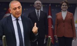 Gürsel Tekin'den Meral Akşener'e sert tepki