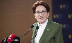 Meral Akşener'den insanlık dışı saldırıya tepki!