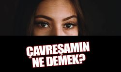 Çavreşamın Ne Demek? Çavreşamın Şarkısı Türkçe Sözleri