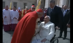 Papa'dan rezil hareket! Afrikalı kardinale ırkçılık yaptı