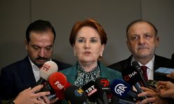 Meral Akşener Anayasa açıklaması: Erdoğan'ın aklını başına alıp düzeltmesi lazım