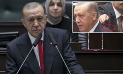 Erdoğan'ın omzuna arı kondu: Korumadan hızlı müdahale