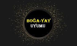 Boğa Erkeği Yay Kadını Uyumu, Boğa İle Yay Anlaşabilir Mi?